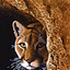 Avatar for chammy