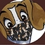 Avatar for pmaroneyb